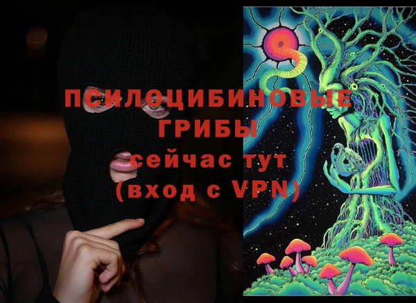 дмт Магадан