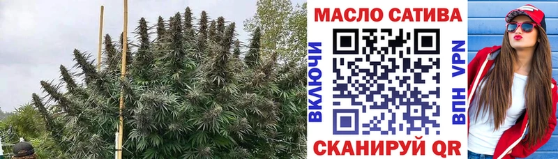 Купить где Темников ТГК Wax