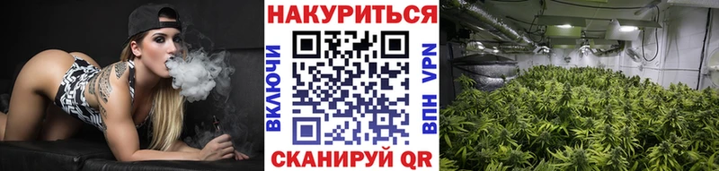 Купить  Темников  Шишки марихуана SATIVA & INDICA 